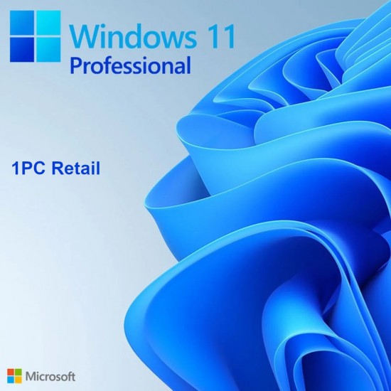 Windows 10 / 11 Pro 1PC [Retail Online]