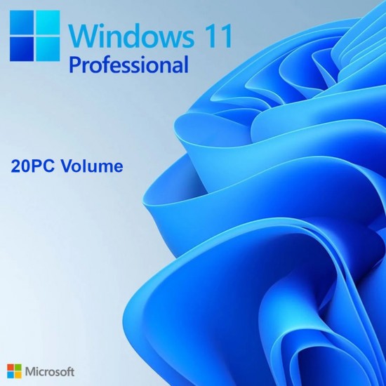 Windows 10 / 11 Pro 20PC [MAK:Volume]