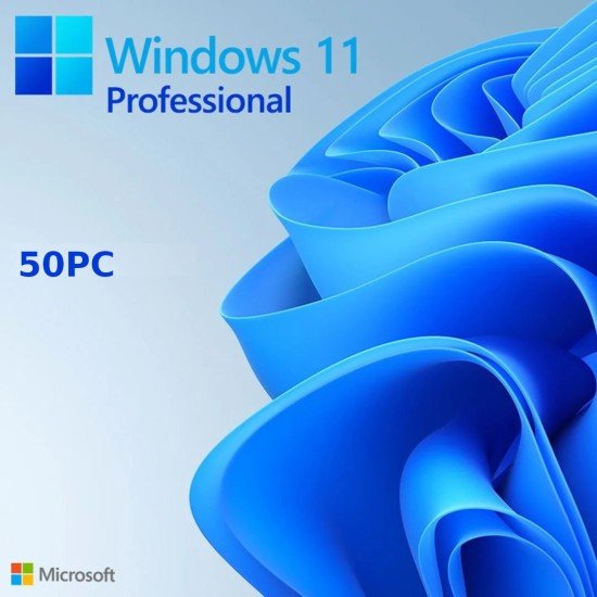 Windows 10 / 11 Pro 50PC [Retail Online]