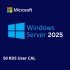Windows Server 2025 Remote Desktop Services User connections (50) CAL