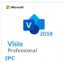 Visio 2019 Professional 2PC [Retail Online]