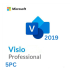 Visio 2019 Professional 5PC [Retail Online]