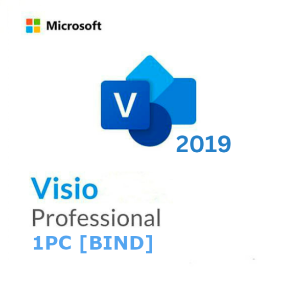 Visio 2019 Professional 1PC [BIND]