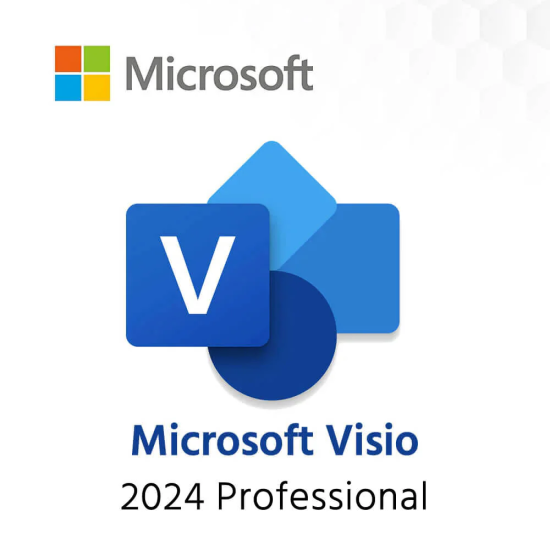 Visio 2024 Professional 1PC [BIND]